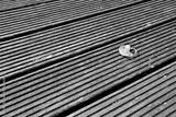 preview bw