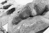 preview bw