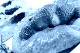 preview cold