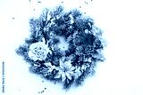 preview cold