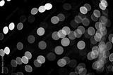 preview bw