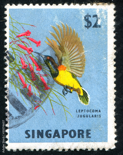 image to crop