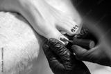 preview bw