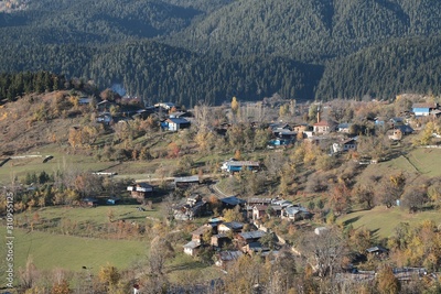 image to crop