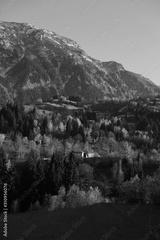 preview bw