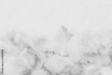 preview bw