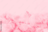preview original