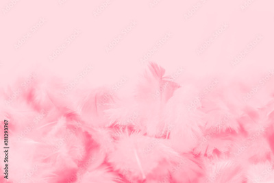 image to crop