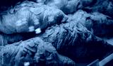 preview cold