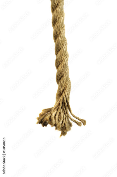 image to crop