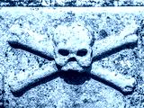 preview cold