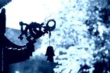 preview cold