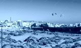 preview cold