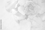 preview bw
