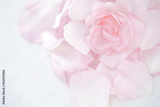 preview original