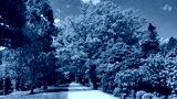 preview cold