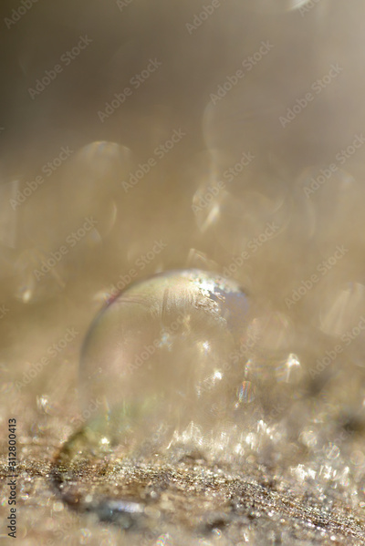 image to crop
