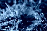 preview cold
