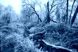 preview cold