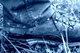 preview cold