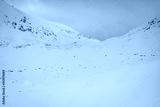preview cold