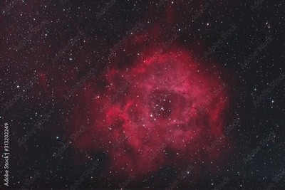 image to crop