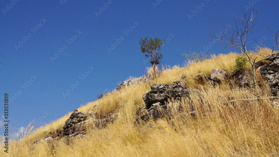 image to crop