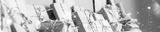 preview bw