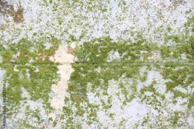 image to crop
