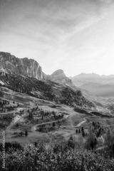 preview bw