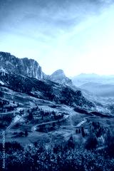preview cold