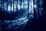 preview cold