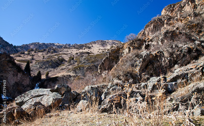 image to crop