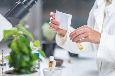 image to crop