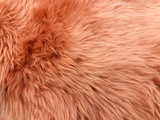 preview original