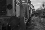 preview bw