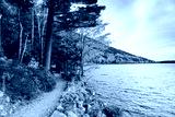 preview cold