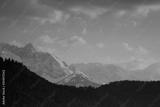 preview bw