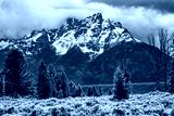 preview cold