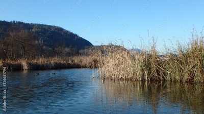 image to crop