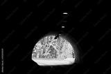 preview bw