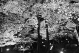 preview bw