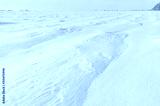 preview cold
