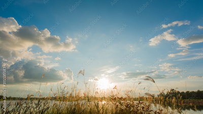 image to crop