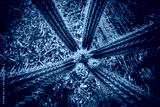 preview cold