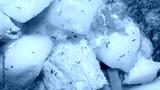 preview cold
