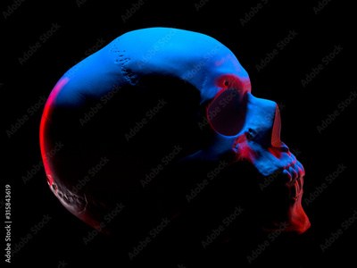image to crop