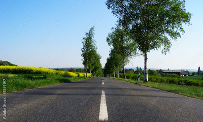 image to crop