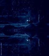 preview cold