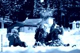 preview cold